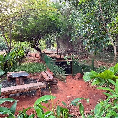 Bougan Villa 黎明之村 外观 照片